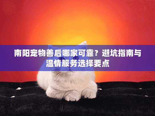 南阳宠物善后哪家可靠？避坑指南与温情服务选择要点