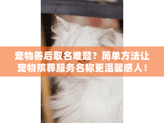 宠物善后取名难题？简单方法让宠物殡葬服务名称更温馨感人！