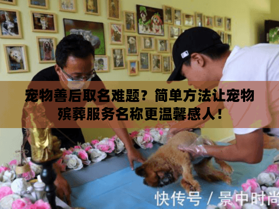 宠物善后取名难题？简单方法让宠物殡葬服务名称更温馨感人！