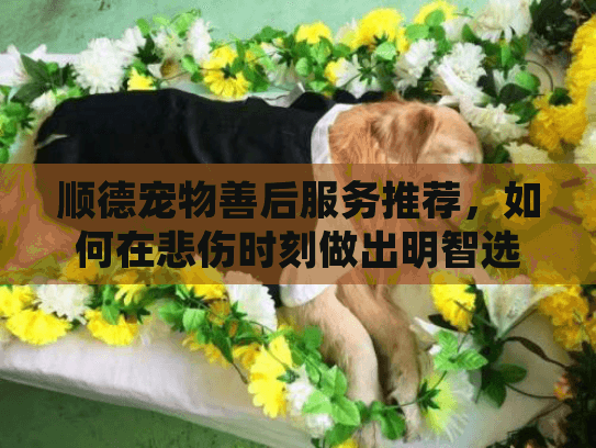 顺德宠物善后服务推荐，如何在悲伤时刻做出明智选择？