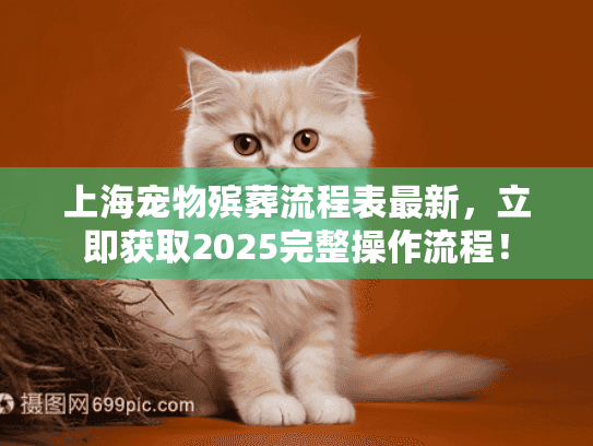上海宠物殡葬流程表最新，立即获取2025完整操作流程！