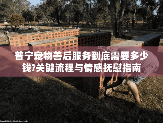普宁宠物善后服务到底需要多少钱?关键流程与情感抚慰指南