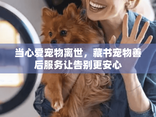 当心爱宠物离世，藏书宠物善后服务让告别更安心