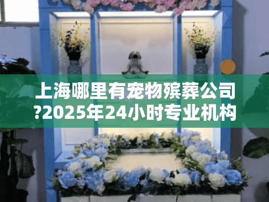 上海哪里有宠物殡葬公司?2025年24小时专业机构推荐