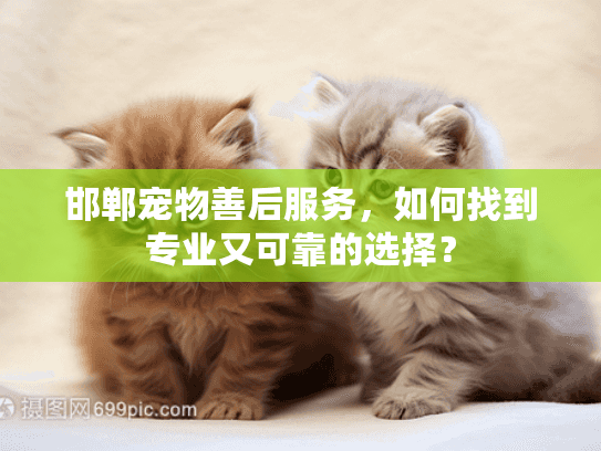 邯郸宠物善后服务，如何找到专业又可靠的选择？