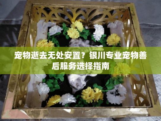 宠物逝去无处安置？银川专业宠物善后服务选择指南