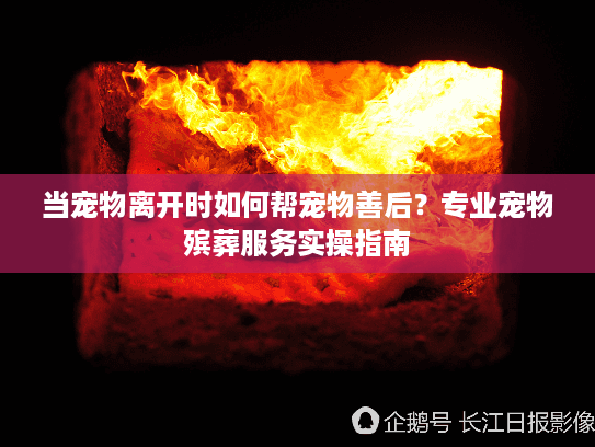 当宠物离开时如何帮宠物善后？专业宠物殡葬服务实操指南