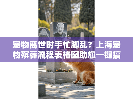 宠物离世时手忙脚乱？上海宠物殡葬流程表格图助您一键搞定