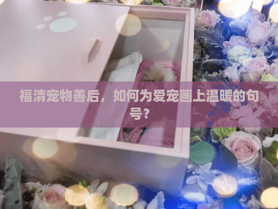 福清宠物善后，如何为爱宠画上温暖的句号？