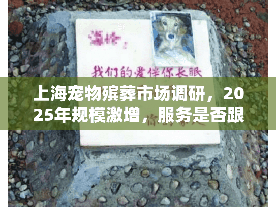 上海宠物殡葬市场调研，2025年规模激增，服务是否跟得上？