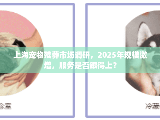 上海宠物殡葬市场调研，2025年规模激增，服务是否跟得上？