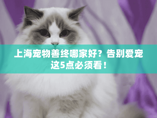 上海宠物善终哪家好？告别爱宠这5点必须看！