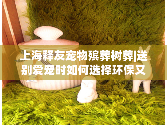 上海释友宠物殡葬树葬|送别爱宠时如何选择环保又有意义的告别方式?