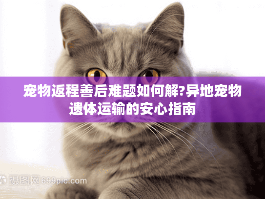 宠物返程善后难题如何解?异地宠物遗体运输的安心指南