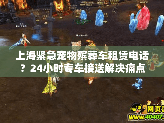 上海紧急宠物殡葬车租赁电话？24小时专车接送解决痛点