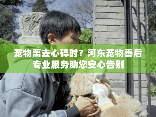 宠物离去心碎时?河东宠物善后专业服务助您安心告别 宠物离去心碎时?河东宠物善后专业服务助您安心告别