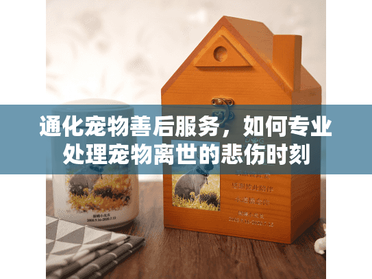 通化宠物善后服务，如何专业处理宠物离世的悲伤时刻
