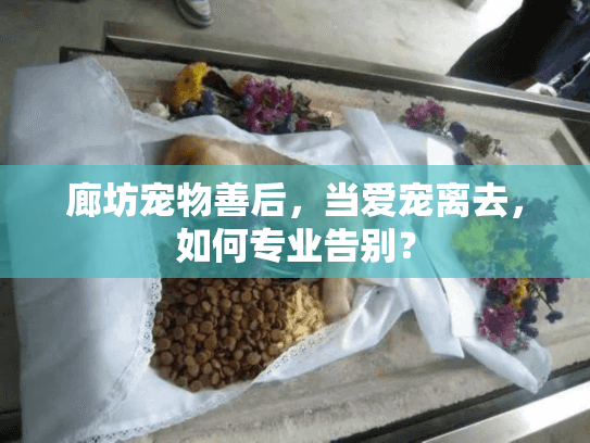 廊坊宠物善后，当爱宠离去，如何专业告别？