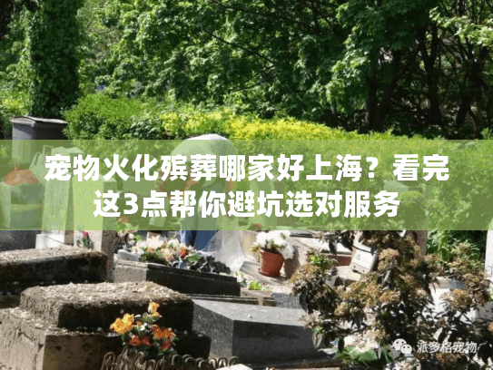 宠物火化殡葬哪家好上海？看完这3点帮你避坑选对服务