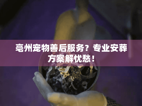 亳州宠物善后服务？专业安葬方案解忧愁！