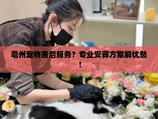 亳州宠物善后服务？专业安葬方案解忧愁！