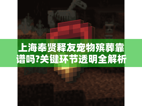 上海奉贤释友宠物殡葬靠谱吗?关键环节透明全解析
