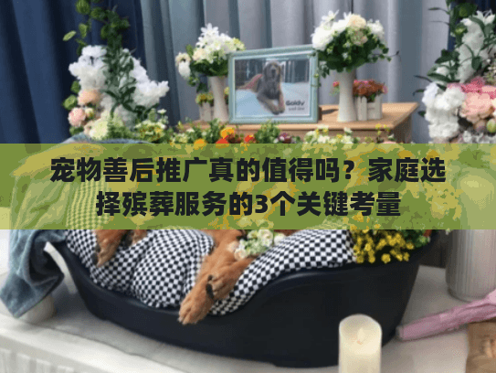 宠物善后推广真的值得吗？家庭选择殡葬服务的3个关键考量