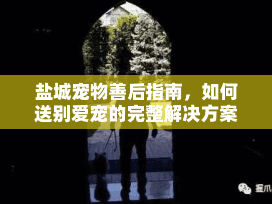 盐城宠物善后指南，如何送别爱宠的完整解决方案