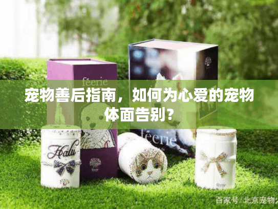 宠物善后指南，如何为心爱的宠物体面告别？
