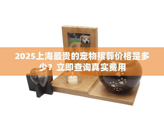 2025上海最贵的宠物殡葬价格是多少？立即查询真实费用