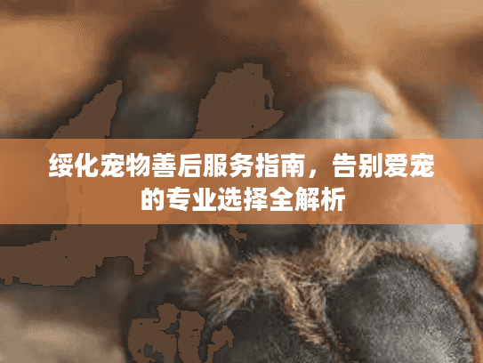 绥化宠物善后服务指南，告别爱宠的专业选择全解析