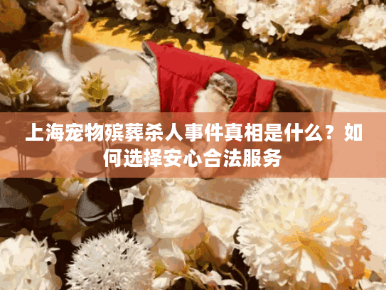 上海宠物殡葬杀人事件真相是什么？如何选择安心合法服务