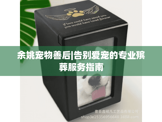 余姚宠物善后|告别爱宠的专业殡葬服务指南