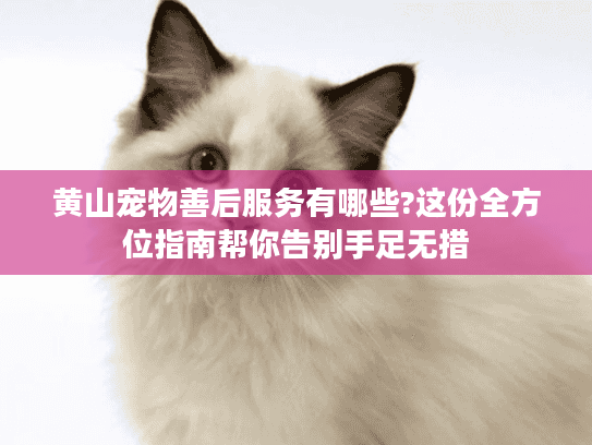 黄山宠物善后服务有哪些?这份全方位指南帮你告别手足无措