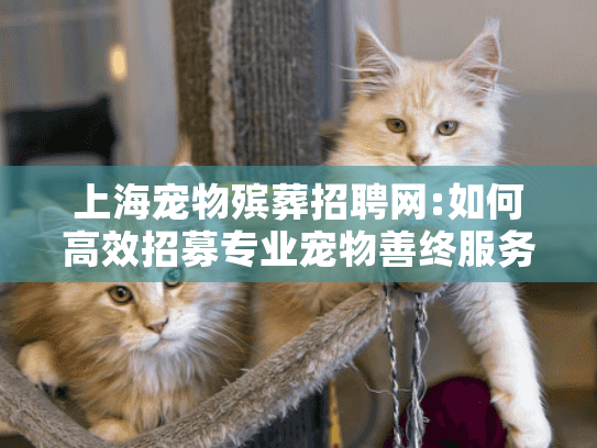 上海宠物殡葬招聘网:如何高效招募专业宠物善终服务人才?