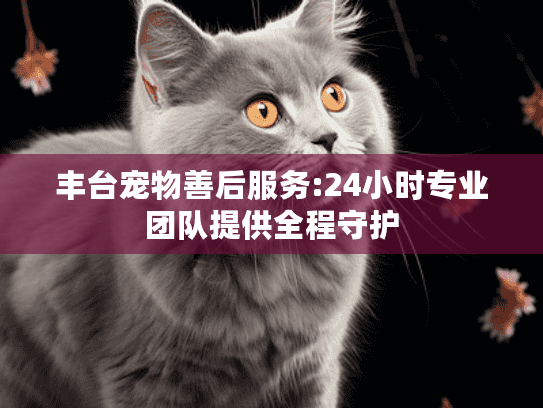 丰台宠物善后服务:24小时专业团队提供全程守护