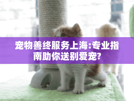 宠物善终服务上海:专业指南助你送别爱宠?