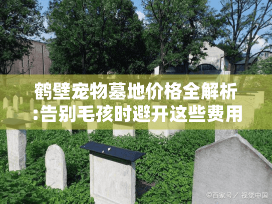 鹤壁宠物墓地价格全解析:告别毛孩时避开这些费用陷阱