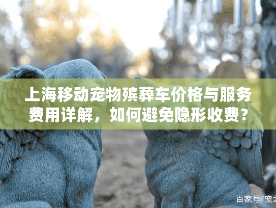 上海移动宠物殡葬车价格与服务费用详解，如何避免隐形收费？