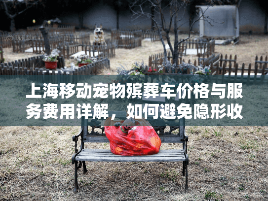 上海移动宠物殡葬车价格与服务费用详解，如何避免隐形收费？