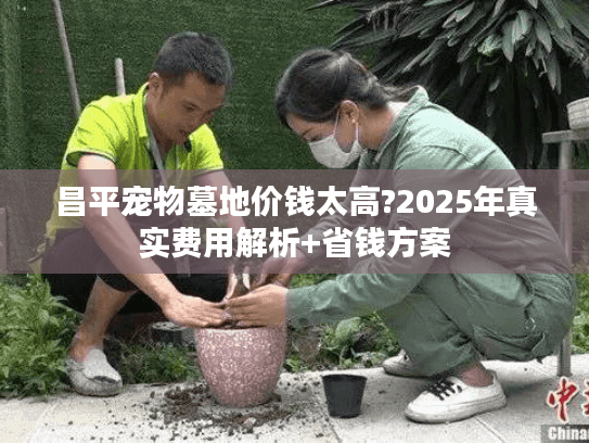 昌平宠物墓地价钱太高?2025年真实费用解析+省钱方案 昌平宠物墓地价钱太高?2025年真实费用解析+省钱方案