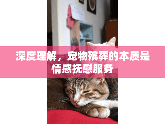 深度理解，宠物殡葬的本质是情感抚慰服务