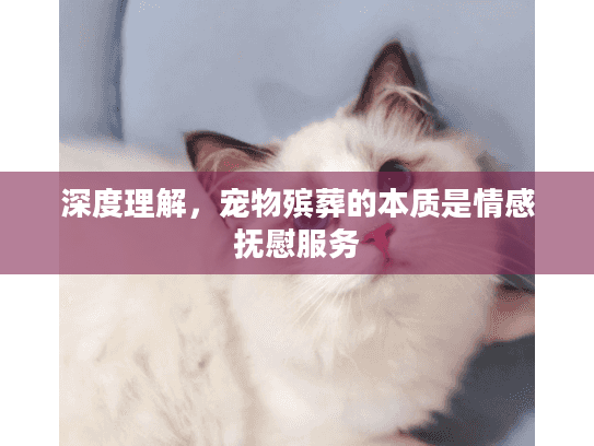 深度理解，宠物殡葬的本质是情感抚慰服务