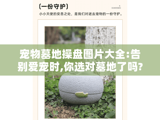 宠物墓地操盘图片大全:告别爱宠时,你选对墓地了吗?
