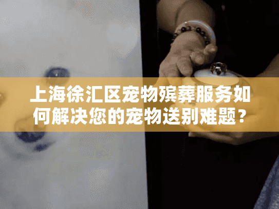 上海徐汇区宠物殡葬服务如何解决您的宠物送别难题？
