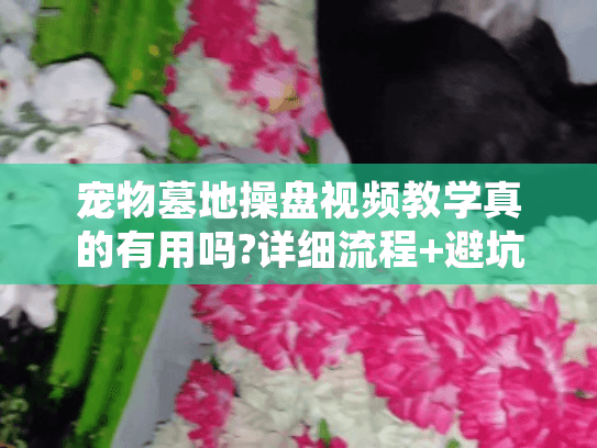 宠物墓地操盘视频教学真的有用吗?详细流程+避坑指南