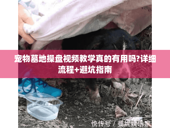 宠物墓地操盘视频教学真的有用吗?详细流程+避坑指南