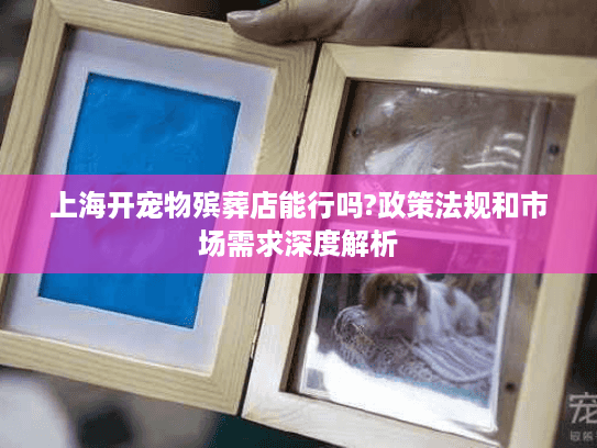 上海开宠物殡葬店能行吗?政策法规和市场需求深度解析