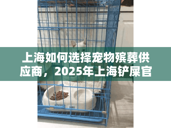 上海如何选择宠物殡葬供应商，2025年上海铲屎官必看的避坑指南