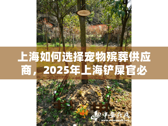 上海如何选择宠物殡葬供应商，2025年上海铲屎官必看的避坑指南